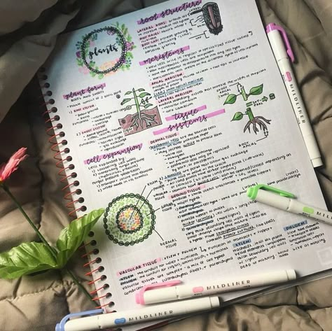 𝒫𝒾𝓃𝓉𝑒𝓇𝑒𝓈𝓉: 𝒽𝑜𝓃𝑒𝑒𝓎𝒿𝒾𝓃 Plant Biology Notes, Study Biology, Notes Inspo, Note Ideas, College Notes, Bullet Journal Notes, Work Success, Aesthetic Notes, School Organization Notes