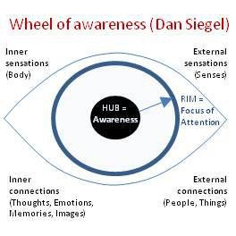 Wheel of Awareness with Dr. Dan Siegel | spirit, mind, matter Wheel Of Awareness, Dan Siegel, Whole Brain Child, Life Coaching Business, Brain Gym, School Social Work, Happiness Project, Mindfulness For Kids, Therapy Counseling