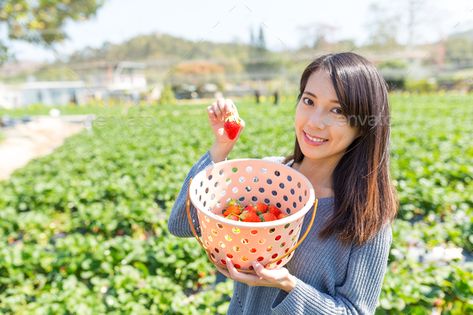 Woman Holding Basket, Botany, Agriculture, Stock Photos, Plants