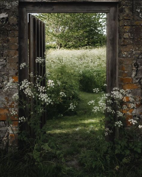 Rachel (@agirlfromengland) | Instagram Cottage Aesthetic, Garden Photography, French Countryside, Garden Lovers, English Cottage, Spring Is Here, East Sussex, English Countryside, Garden Gates