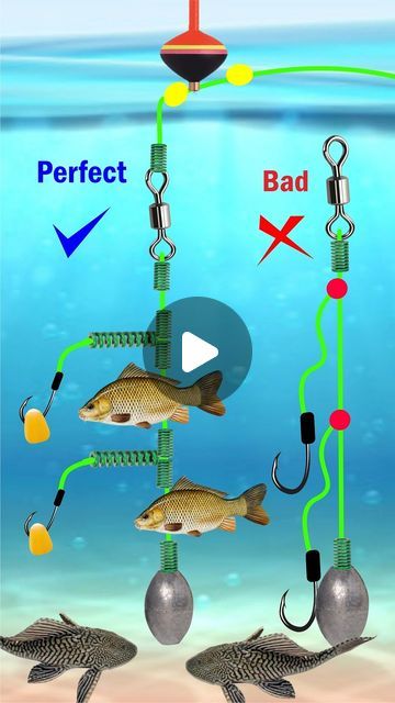 Bottom Fishing Rigs, Fishing Knots Tutorials, Fishing Line Knots, Knot Tutorial, Bottom Fishing, Knots Tutorial, Fishing Rigs, Fishing Knots, Fish Camp