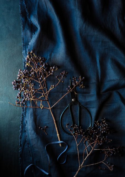 Blue Still Life, Photographer Illustration, Image Bleu, Dark Food Photography, Color Test, Prussian Blue, Winter Nature, Food Photographer, Cape Town South Africa