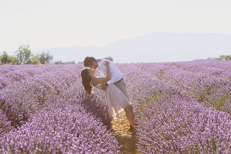 Horse Engagement Photos, Lavender Photography, Lavender Fields Photography, Prenup Photos Ideas, Farm Engagement Photos, Country Engagement Pictures, Field Photoshoot, Farm Photography, Engagement Pictures Poses