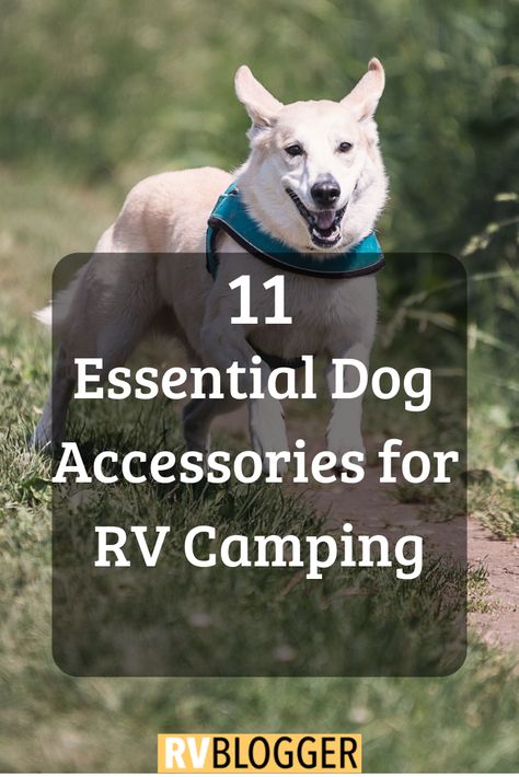 11 Essential Dog Accessories for RV Camping | RVBlogger Dog Rv Ideas, Rv Camping With Dogs Hacks, Rv Dog Ideas, Rv Pet Ideas, Rv Living With Dogs, Camper With Dogs, Rv With Dogs, Rv Camping With Dogs, Rv Pet