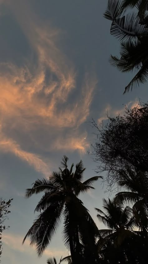 Asethic Sky, Asethic Pictures, 2jz Engine, Messi Wallpapers, Trees Photo, Flower Background Images, Lionel Messi Wallpapers, Sky Photography Nature, Pretty Landscapes