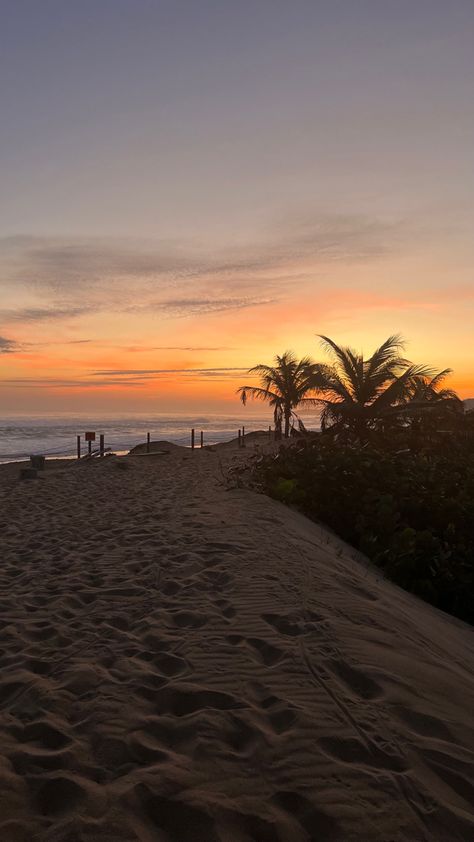 Sunrise on the beach in puerto rico Beach In Puerto Rico, Sunrise On The Beach, Puerto Rico Beaches, Puerto Rico Pictures, Puerto Rico Trip, Pretty Landscapes, Sunrise Beach, Sunset Pictures, Summer Pictures