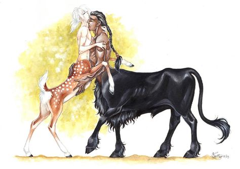 Centaurs in Love II by ConnyChiwa on DeviantArt Dog Centaur, Horse Anthro, Centaur Male, Anthro Horse, Horse Hybrid, Centaur Art, Anime Centaur, Fantasy Writer, Humanoid Creatures