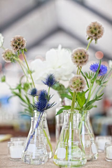 Use beakers in the centerpiece? I Love this idea Chemistry Wedding, Flower Science, Science Wedding, Attic Storage, Science Themes, Beakers, Science Museum, Science Center, Center Pieces