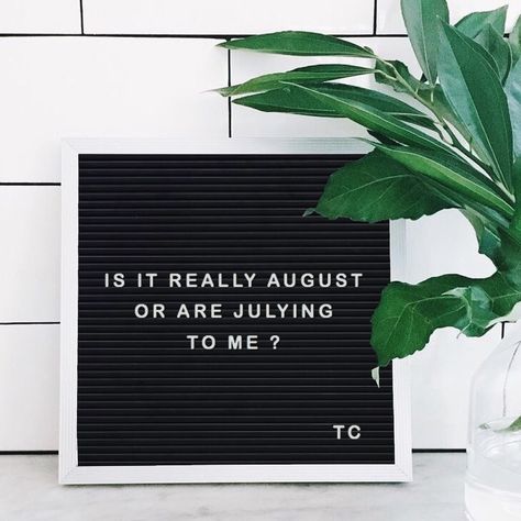 August must be a man! Quotes August, Letterboard Signs, Letter Board Quotes, Message Board Quotes, Summer Quote, Felt Letter Board, Trust Quotes, Word Board, Funny Letters