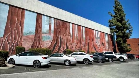 What to do in Visalia, CA | 2024 List & Photos General Sherman Tree, 2024 List, Visalia California, Tulare County, General Sherman, San Joaquin Valley, Sequoia Tree, Farm Tour, Kings Canyon