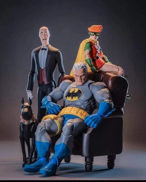 Batman History, Iron Batman, Batman Tv Show, Dc Action Figures, Dc Figures, Batman Batmobile, The Bat Man, Batman Pictures, Batman Action Figures