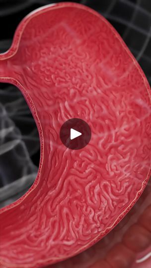 60K views · 1.2K reactions | 🌟 Understanding Stomach Acid: Key to Healthy Digestion 🌟 

Ever wondered how your stomach breaks down food so efficiently? It's all thanks to stomach acid! Join SciePro in exploring the cells and processes that produce this powerful digestive agent, and learn why maintaining the right balance is essential for your health. 

Share your thoughts and experiences in our community of health-conscious individuals. 

#DigestiveWellness #StomachHealth #HealthAwareness #SciePro #stomach #science #biology #meded #med #medical #anatomy #medstudent #gastric #vray #autodesk #animation #3d | SciePro | SciePro · Original audio Medical Animation, Stomach Issues, Digestion Process, Medical Anatomy, Health Conscious, Stomach Acid, Workout Chart, Science Biology, Healthy Digestion