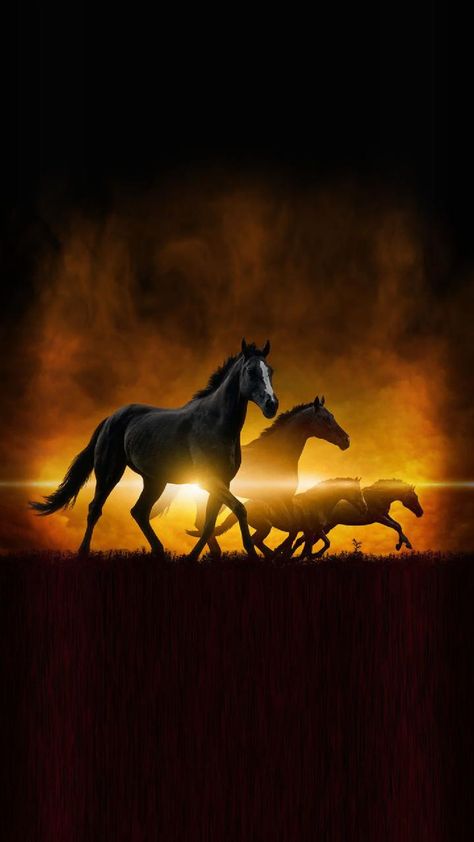 Running Horse Wallpaper Iphone, Running Horse Wallpaper For Phone, Horses Wallpaper, Dual Monitor Wallpaper, Movies Wallpaper, Bike Wallpaper, Inspirational Horse Quotes, Wild Animal Wallpaper, Indian Horses