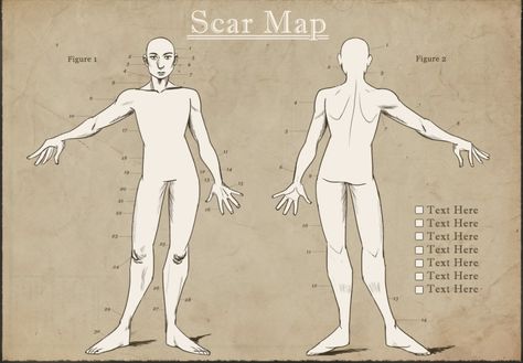 Oc Scars Chart, Body Scar Reference Drawing, Oc Ref Sheet Base, Character Sheet Template Drawing, Drawing Templates Poses, Doodle Poses, Character Height Chart, Oc Scenarios, Character Reference Sheet Base