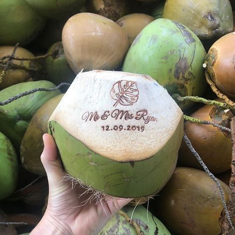 Coconut Water Wedding, Coconut Stand Wedding, Coconut Wedding Favors, Coconut Seating Chart, Engraved Coconut Wedding, Coconut House, Custom Coconut, Coconut Cocktails, Wedding Drink Station