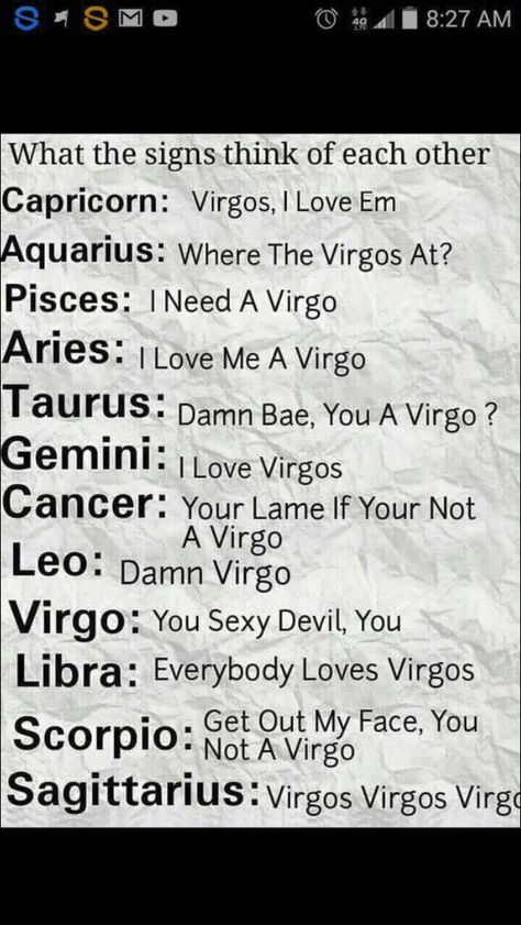 I'm not a Virgo but I had to pin because it is hilarious! I'm actually an Aquarius How Virgo Sees The Other Signs, Virgo When They Have A Crush, Virgo Turn Ons And Offs, Sagittarius X Virgo, Virgo Crush, Virgos Be Like, Virgo X Scorpio, Scorpio And Virgo, Funny Love Quotes For Husband