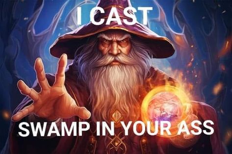 I Cast Wizard, Blizzard Meme, Pirate Humor, Wizard Spells, Magic Memes, Wise Wizard, Studying Memes, Casting Spells, Dark Wizard