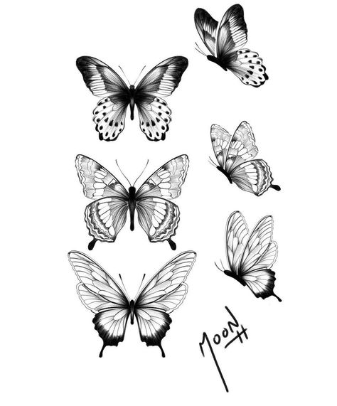 Medium Size Butterfly Tattoo, August Butterfly Tattoo, Butterfly Sketch Tattoo, Simple Cover Up Tattoos, Tattoo Papillon, Tattoo Medusa, Drawing Elephant, Realistic Butterfly Tattoo, Borboleta Tattoo