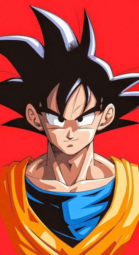 Goku Canvas, Goku Drawing, Goku Wallpaper, Dragon Ball Painting, Dragon Ball Art Goku, Dragon Ball Super Artwork, Anime Drawing Books, Dragon Ball Super Goku, Dragon Ball Image