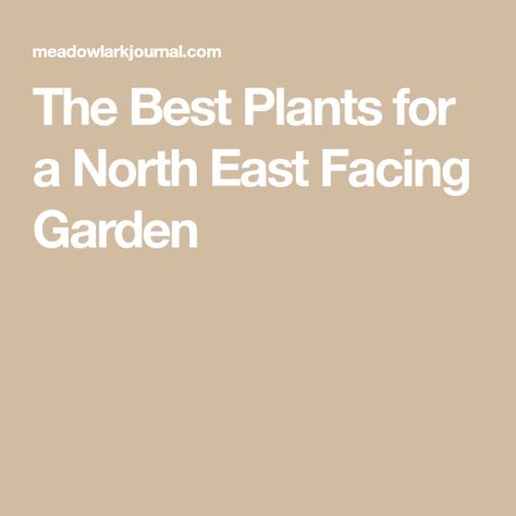 The Best Plants for a North East Facing Garden East Facing Garden, Best Perennials, Corner Garden, Dogwood Trees, Best Plants, Late Winter, Flowering Vines, Growing Tree, Cool Plants