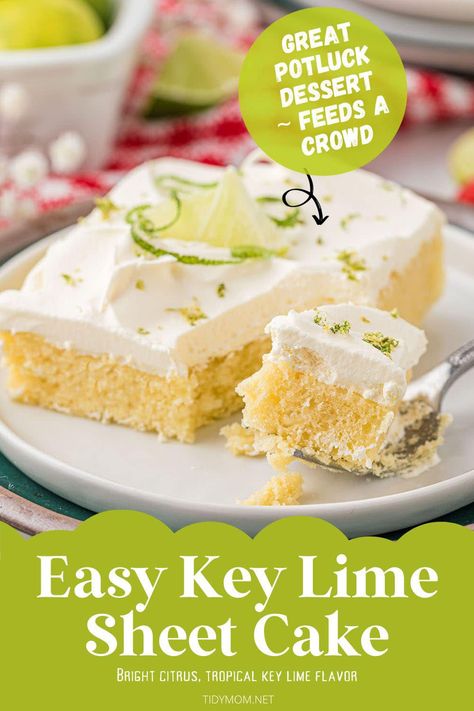 Key Lime Sheet Cake is the ideal dessert for warm weather; it's moist, tender, and bathed in a sweet-tart lime syrup with a fluffy lime topping. It's fuss-free, easy to make (with the help of a cake mix), and is always a hit at potlucks. PRINTABLE RECIPE at TidyMom.net Key Lime Sheet Cake, Key Lime Sheet Cake Recipe, Key Lime Cake From Box Cake, Lime Cake Recipe, Key Lime Cake, Easy Cakes To Make, Lime Cake, Vanilla Cake Mixes, Cake Sizes