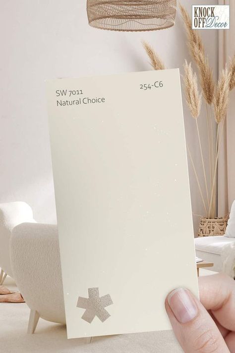 Sw Natural Choice Walls, Sw Natural Choice, Sherwin Williams Natural Choice, Natural Choice Sherwin Williams, Sherwin Williams White Paint, Michigan Living, White Pallet, Light Paint Colors, White Paint Color