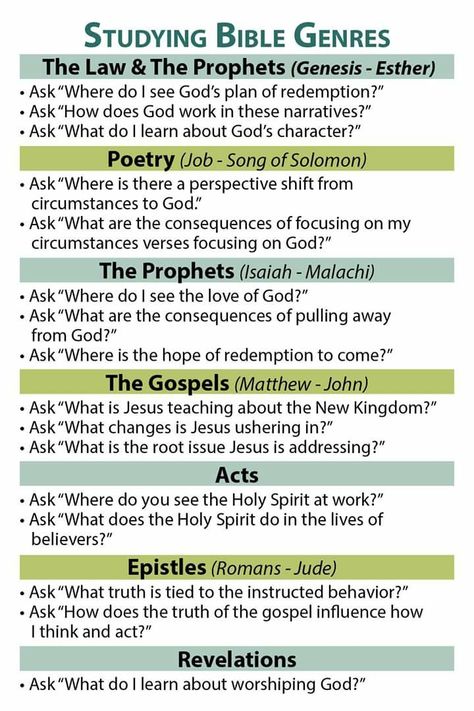 Bible Vocabulary Words, Precepts Bible Study, How To Understand The Bible, How To Read The Bible For Beginners, Best Order To Read The Bible, Bible Genres, The Bible Project, Bible Study Questions, Studying The Bible