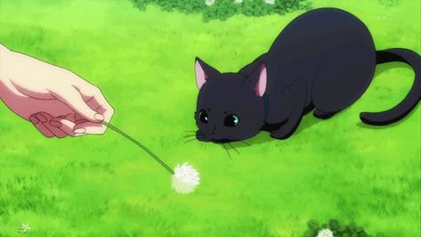 Pet Anime, Gato Anime, Animated Banners, Anime Gifs, Banner Gif, Anime Animals, Cute Cat Gif, Anime Cat, Aesthetic Gif