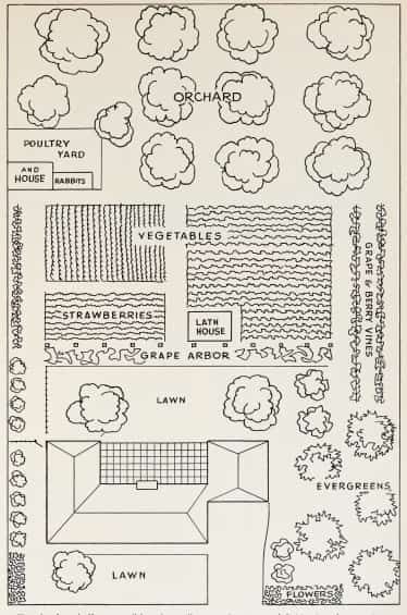 These real, tiny homestead layout plans show that with smart homestead planning techniques, self-sufficiency can be achieved even on a small lot. #homesteadlayout #backyard #smallspaces #primalsurvivor Homestead Layout, Acre Homestead, Farm Plans, Homestead Farm, Farm Layout, Homestead Gardens, Garden Plan, Mini Farm, Urban Homesteading