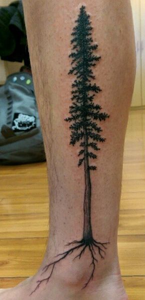 good tree reference / good roots Cedar Tattoo, Tree Tattoo Calf, Tree Tatoos, Redwood Tree Tattoo, Colorado Tattoos, Tattoo Trees, Halloween Hairstyles For Women, Tree Reference, Redwood Tattoo