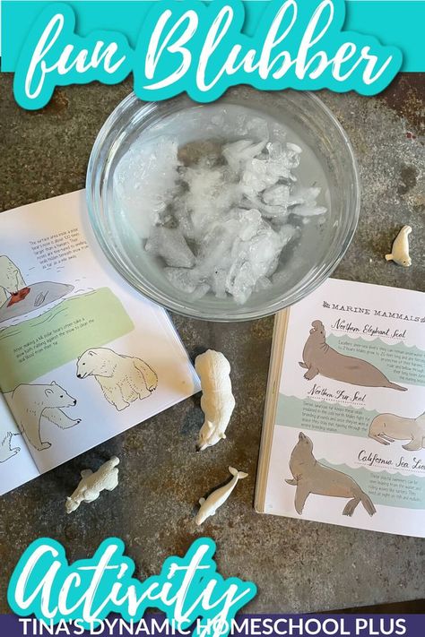 Indigenous Science Activities, Alaska Activities For Kids, Antarctica Unit Study, Inuit Craft For Kids, Arctic Unit Study, Iditarod Activities For Kids, Ice Age Activities For Kids, Arctic Diorama For Kids, Inuit Activities