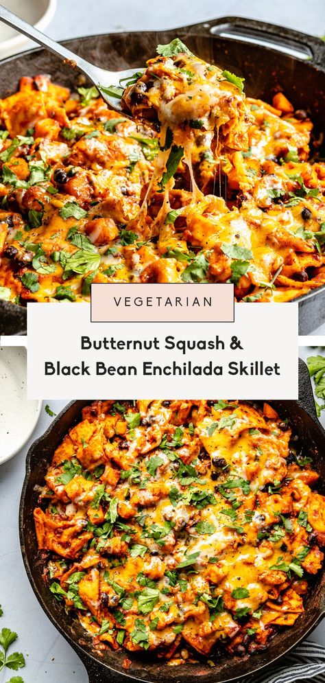 Vegetarian Recipes For College Students, Filling Veggie Meals, Vegetable Rich Meals, Meatless Protein Meals, Quick And Easy Vegetarian Dinner Recipes, No Meat Dinners, Gourmet Vegetarian Recipes, Volume Eating Recipes, Healthy Vegetarian Meal Prep