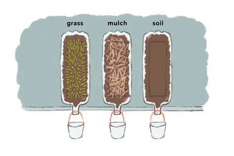 Soil Erosion Experiment, Soil Erosion Project, Soil Erosion Science Fair Project, Erosion Science Fair Project, Erosion Activities, Science Fair Projects Boards, Ag Teacher, Soil Erosion, Weathering And Erosion