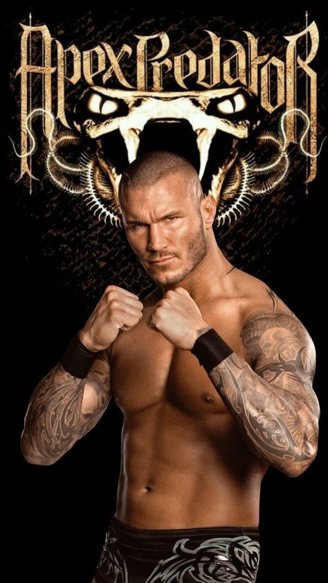 Randy Orton Rko, The Hardy Boyz, Randy Orton Wwe, Wrestling Posters, Wwe Pictures, Professional Wrestlers, Hunks Men, Wwe Wallpapers, Wwe Legends