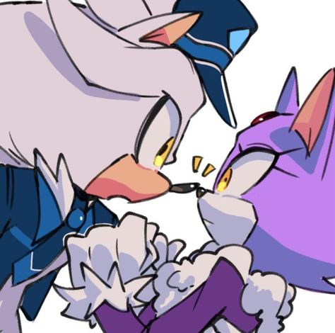 Blaze X Silver, Blaze And Silver, Silver X Blaze, Cute Sonic, Blaze The Cat, Sonic Fanart, Silver The Hedgehog, Sonic Shadow, Sonic Funny