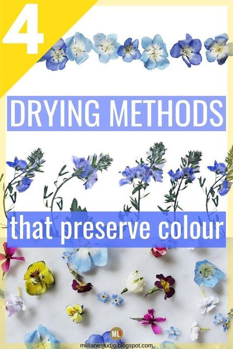 How Preserve Flowers, How To Preserve Flowers For Resin, Dried Flowers In Mineral Oil, How Do I Preserve Flowers, Dry Flowers Diy Projects, How To Preserve Pressed Flowers, Dry Pressed Flowers Diy, Best Way To Dry Flowers, Best Way To Preserve Flowers