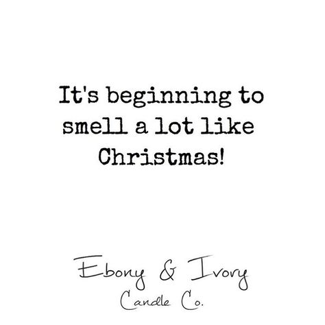 🕯The perfect candles for Christmas🕯  #quote #christmas #christmascandle #christmasdecor #christmasdecorating #homedecor #holidays #scents #candles #soycandle #christmascandle Christmas Baking Quotes, Scent Quotes, Candle Quotes Funny, Darceys Candles, Soy Candle Facts, Candle Pictures, Candles Inspiration, Soy Candles Packaging, Fm Fragrances