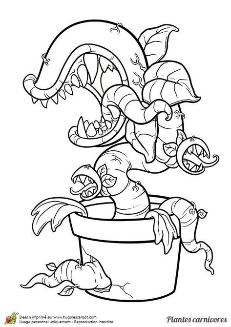 Plant Vs Zombies, Zombie Drawings, Tattoo Graffiti, Tattoo 2024, Adult Coloring Designs, Tattoo Design Book, Graffiti Characters, Skateboard Design, Desenho Tattoo