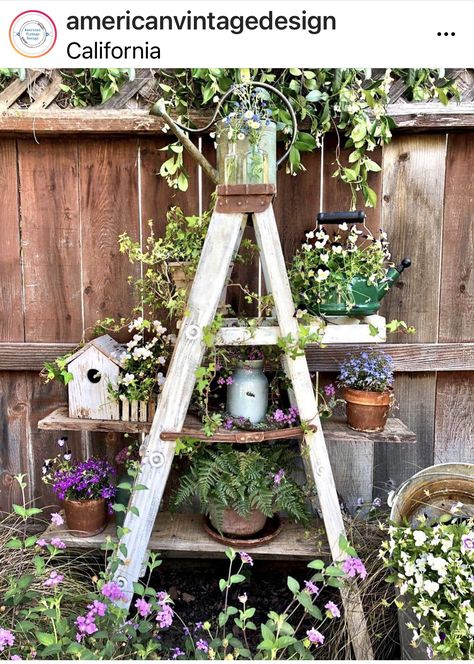 Farm Country Decor, Ladders In The Garden, Garden Ladder Ideas, Ladder Planter, Garden Ladder, Old Ladder, Garden Decor Diy, Garden Decor Ideas, Vintage Garden Decor