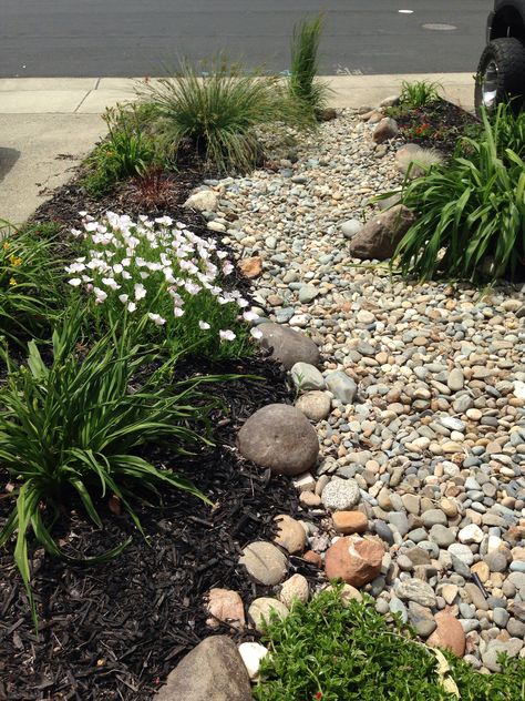 Wyoming Landscaping, Riverbed Landscaping, Mulch Landscaping Ideas, Mulch Landscaping Ideas Diy, Dry Riverbed Landscaping, Xeriscape Front Yard, Landscape Ideas Front Yard Curb Appeal, Mulch Landscaping, Side Yard Landscaping