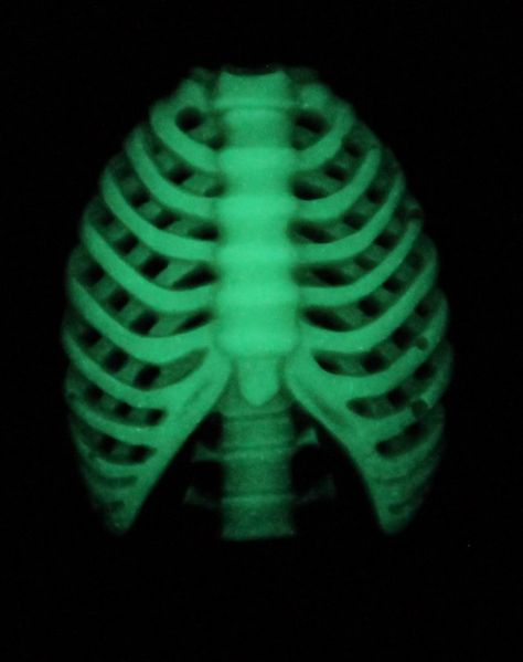 Ribcage Skeleton, Projector Photography, Skeleton Halloween, Tumblr Photography, Needle Minders, Photo Overlays, Diy Pattern, Halloween Skeletons, Rib Cage