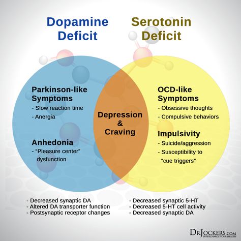 Epinephrine Vs Norepinephrine, High Dopamine Levels, Dopamine Enhancers, Dopamine Deficiency, Low Serotonin, Dopamine Boost, Reflective Journaling, Dr Jockers, Psychology Notes