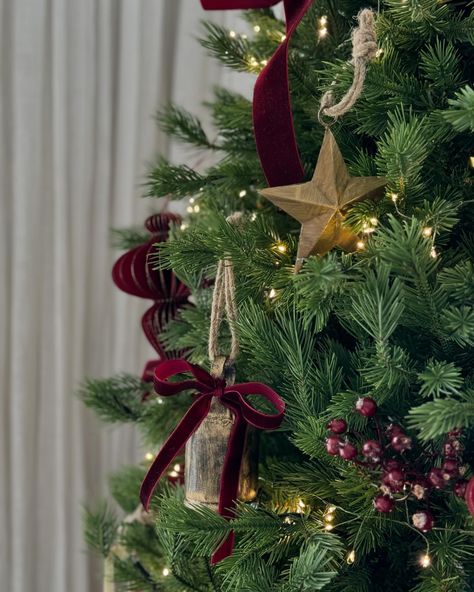 What’s happening on your Christmas tree this year? These are a few of our favourite things in our burgundy collection - Brass bells with Burgundy velvet ribbon - Brass tree stars - Burgundy velvet tree bows - Burgundy ballerina paper lantern - Burgundy rosehips - LED fairy lights - in our opinion the best lights ever! We made these at 15m in length (generally long enough for a standard Christmas tree) and in green wire so it disappears and all you can see are the pretty lights. #christma... Christmas Tree Red Velvet Bows, Christmas Tree Ideas Burgundy And Gold, Dark Green And Dark Red Christmas Tree, Burgandy Christmas Tree Decor, Christmas Tree With Burgundy Bows, Burgundy Bows On Christmas Tree, Burgundy Bow Christmas Tree, Christmas Decor Burgundy, Burgundy Velvet Christmas Decor