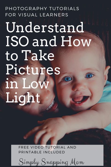 Camera Settings For Indoor Low Light, Low Light Camera Settings Canon, Iso Photography, Key Photography, Camera Ideas, Photography Things, Photography Hacks, Sunflower Photography, Dslr Photography Tips