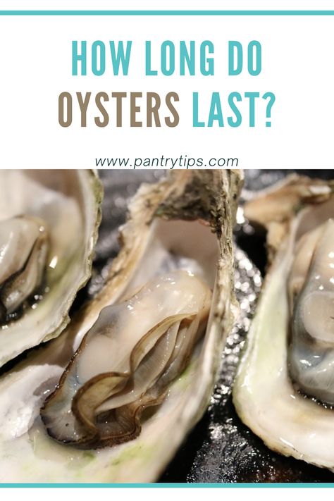 How To Prepare Oysters, How To Shuck An Oyster, Mexican Oysters, Fresh Oyster Recipes, Oyster Recipes No Shell, Oysters Recipes, Steamed Oysters, Canned Oysters, Scalloped Oysters