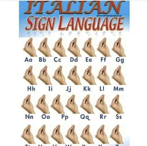 I didnt understand all the italian memes at first but then I realized its cause they talk with their hands and they got so much more funny Italian Funny Humor, Funny Italy Memes, Italians Be Like, Italian Memes Humor, Italian Memes Funny, Funny Italian Memes, Italian Meme, Italian Things, Language Jokes