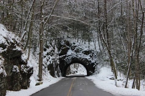 English Horseback Riding, Trail Riding Horses, Horseback Riding Trails, Cades Cove Tennessee, Horseback Riding Lessons, Cades Cove, Family Trips, Snow Scenes, Scenic Routes