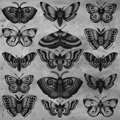 Tattoo Papillon, Traditional Butterfly Tattoo, Tato Tradisional, Moth Tattoo Design, Kunst Tattoos, Insect Tattoo, Tattoo Butterfly, Tattoo Traditional, Moth Tattoo