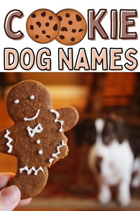 Are you getting a new dog and not sure what to name your future best friend? If you are a sweets lover then consider cookie dog names! Food Names For Dogs, Food Dog Names, Cartoon Dog Names, Dog Names Food Related, Ocean Themed Dog Names, Name Dog Boy, Puppies Names Female, Chocolate Names, Cool Pet Names