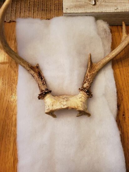 My husband and son are hunters and have antlers they would like to display. I don't love the look of traditional antler mounts so I was looking to find a way to mount them that I wouldn't mind displaying too. This is what I came up with... Material List: Poly-fil Fabric Antlers Fabric scissors Fabric glue Decorative board Drill Bolt, nut & washer Hammer Upholstery racks Jute First we drilled a hole in the box and in the antler skull. I cut a piece of poly-fil… Deer Antlers On Wall, How To Mount Antlers On Wood, Elk Antler Mount Ideas, Mounted Deer Antlers, Mounting Antlers Diy, How To Mount Deer Antlers On Wood, Antler Mounts Ideas, Horn Mount Ideas, Mounting Deer Antlers Diy